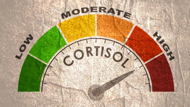 high cortisol