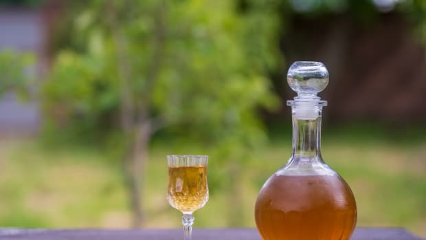 Apple Cider Vinegar Shot